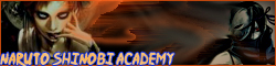 Naruto Shinobi Academy
