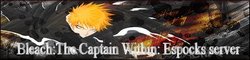 Bleach:The Captain Within