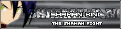 Shaman King: The Shaman Fight