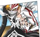 Gotei 13